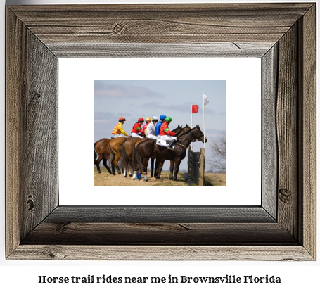 horse trail rides near me in Brownsville, Florida